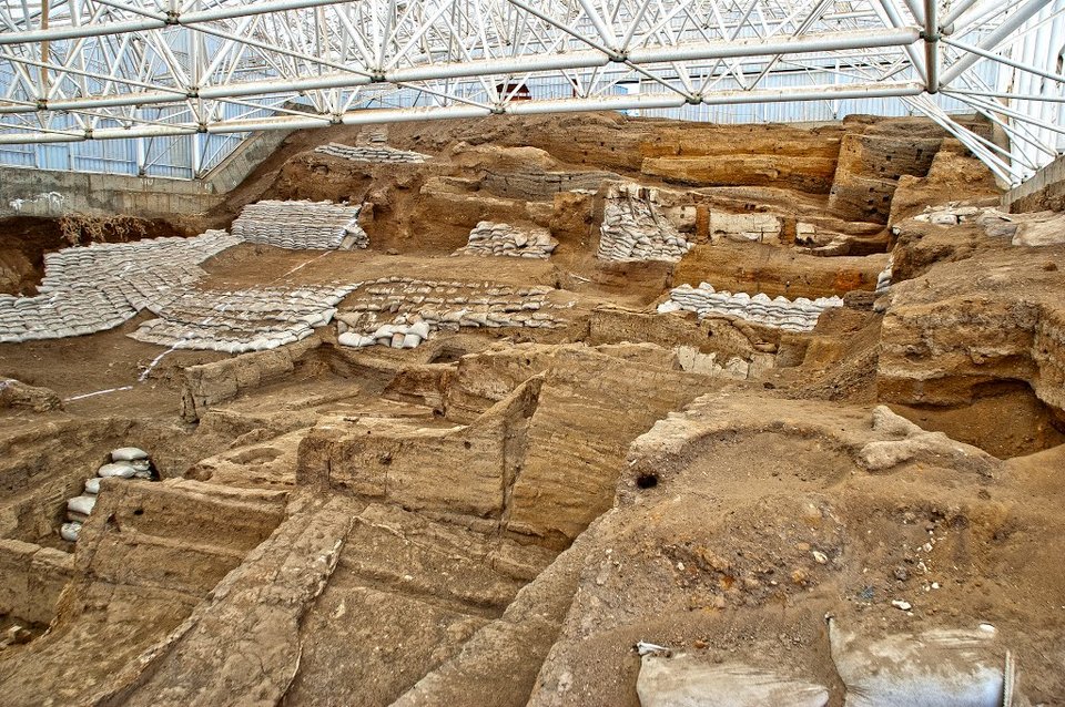 Ο προϊστορικός άνθρωπος αγαπούσε το ψωμί με μουστάρδα [εικόνες] | iefimerida.gr 0