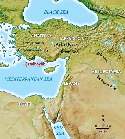 Ο προϊστορικός άνθρωπος αγαπούσε το ψωμί με μουστάρδα [εικόνες] | iefimerida.gr 15