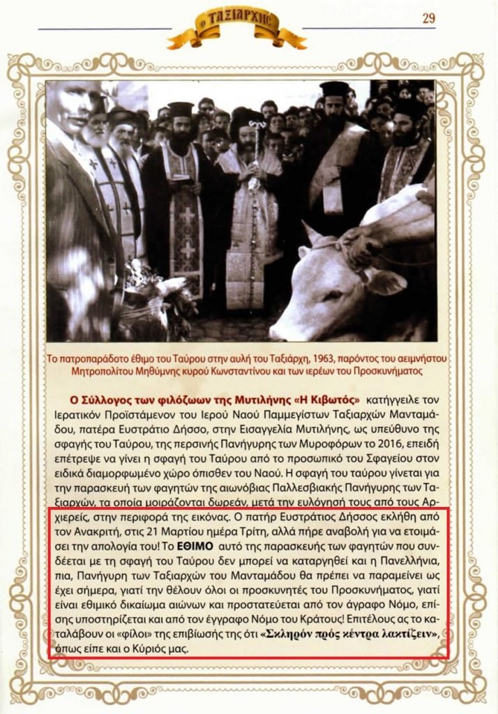Οργή για το έθιμο της δημόσιας σφαγής ταύρου στη Λέσβο: «Επίδειξη ισχύους και θράσους» | iefimerida.gr 0