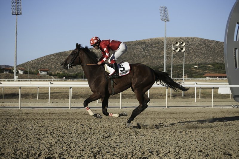 Η Αθηνά Ωνάση θέλει να φτιάξει κέντρο ιππασίας στο Μαρκόπουλο -Επένδυση που αγγίζει τα 10 εκατ. [εικόνα] | iefimerida.gr 5