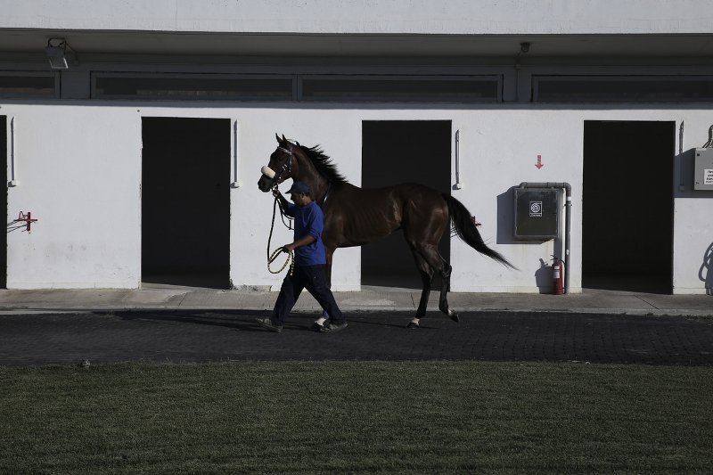 Η Αθηνά Ωνάση θέλει να φτιάξει κέντρο ιππασίας στο Μαρκόπουλο -Επένδυση που αγγίζει τα 10 εκατ. [εικόνα] | iefimerida.gr 4