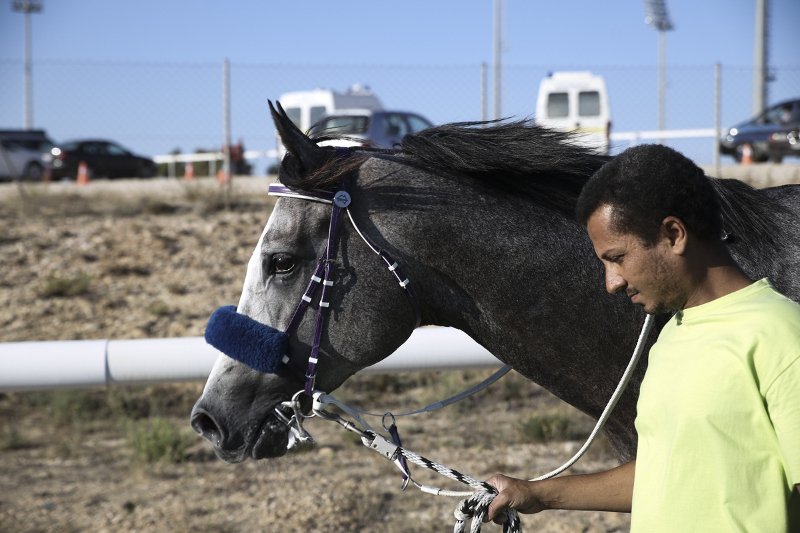 Η Αθηνά Ωνάση θέλει να φτιάξει κέντρο ιππασίας στο Μαρκόπουλο -Επένδυση που αγγίζει τα 10 εκατ. [εικόνα] | iefimerida.gr 2