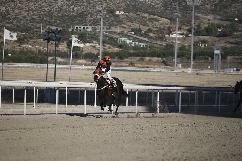 Η Αθηνά Ωνάση θέλει να φτιάξει κέντρο ιππασίας στο Μαρκόπουλο -Επένδυση που αγγίζει τα 10 εκατ. [εικόνα] | iefimerida.gr 3