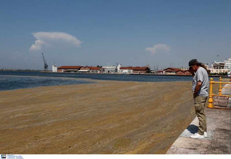 Θερμαϊκός Κόλπος, μια νεκρή θάλασσα -Φωτογραφίες-σοκ: Τα νερά έχουν γίνει καφέ από τη ρύπανση [εικόνες] | iefimerida.gr 2