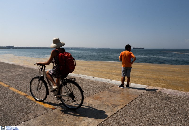 Θερμαϊκός Κόλπος, μια νεκρή θάλασσα -Φωτογραφίες-σοκ: Τα νερά έχουν γίνει καφέ από τη ρύπανση [εικόνες] | iefimerida.gr 3