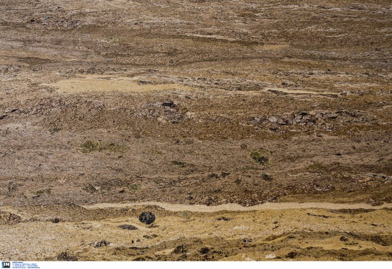 Θερμαϊκός Κόλπος, μια νεκρή θάλασσα -Φωτογραφίες-σοκ: Τα νερά έχουν γίνει καφέ από τη ρύπανση [εικόνες] | iefimerida.gr 8