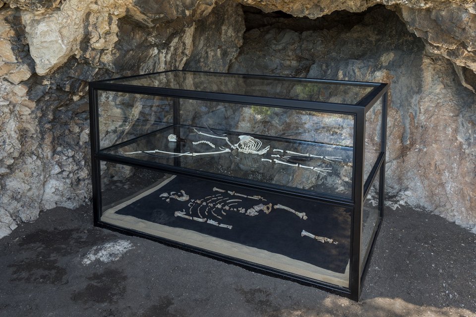 Αργεντινός καλλιτέχνης φυτεύει 46.000 φρούτα και λαχανικά στο Αστεροσκοπείο [εικόνες]  | iefimerida.gr 4