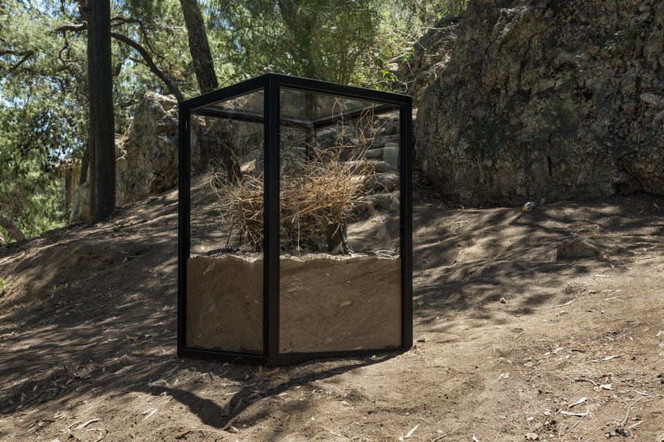 Αργεντινός καλλιτέχνης φυτεύει 46.000 φρούτα και λαχανικά στο Αστεροσκοπείο [εικόνες]  | iefimerida.gr 6