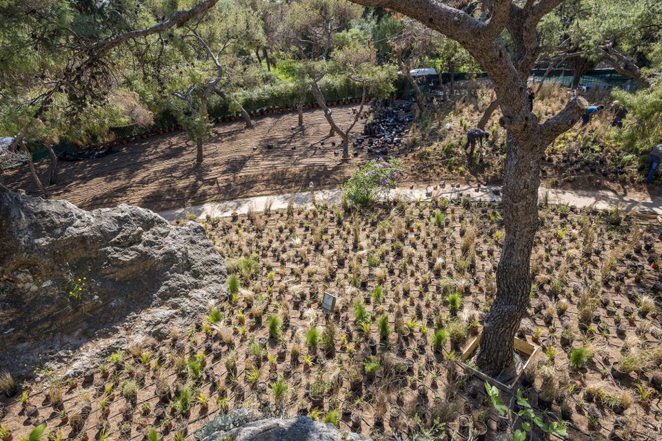 Αργεντινός καλλιτέχνης φυτεύει 46.000 φρούτα και λαχανικά στο Αστεροσκοπείο [εικόνες]  | iefimerida.gr 0