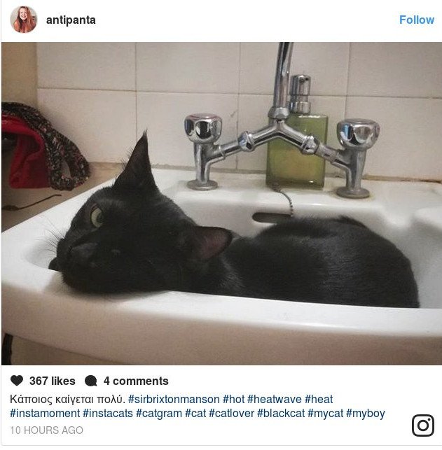 Η Αντιγόνη Πάντα Χαρβά μας δείχνει πώς ξεπερνά τον καύσωνα [εικόνες] | iefimerida.gr 2