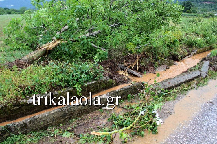 Ανεμοστρόβιλος σάρωσε τα Τρίκαλα -Ο αέρας και η σφοδρή χαλαζόπτωση ξερίζωσαν δένδρα [εικόνες & βίντεο] | iefimerida.gr 1