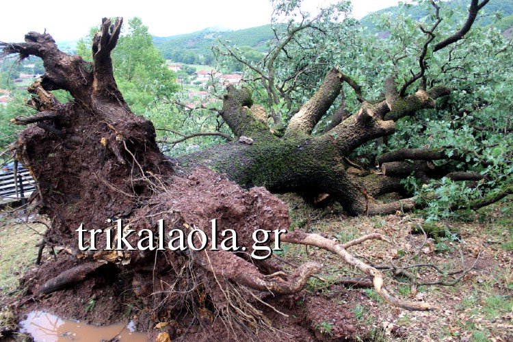 Ανεμοστρόβιλος σάρωσε τα Τρίκαλα -Ο αέρας και η σφοδρή χαλαζόπτωση ξερίζωσαν δένδρα [εικόνες & βίντεο] | iefimerida.gr 2