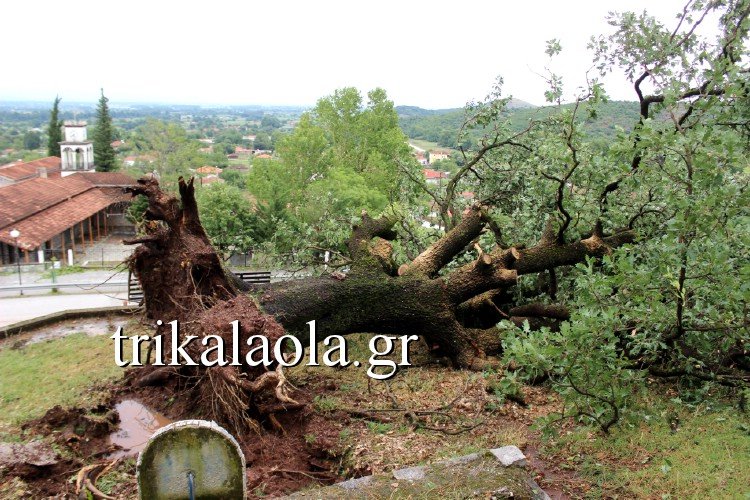 Ανεμοστρόβιλος σάρωσε τα Τρίκαλα -Ο αέρας και η σφοδρή χαλαζόπτωση ξερίζωσαν δένδρα [εικόνες & βίντεο] | iefimerida.gr 5
