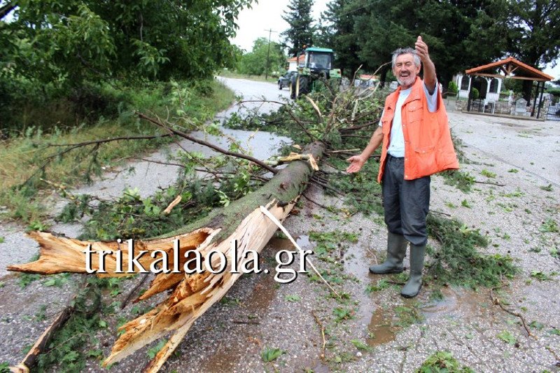 Ανεμοστρόβιλος σάρωσε τα Τρίκαλα -Ο αέρας και η σφοδρή χαλαζόπτωση ξερίζωσαν δένδρα [εικόνες & βίντεο] | iefimerida.gr 7