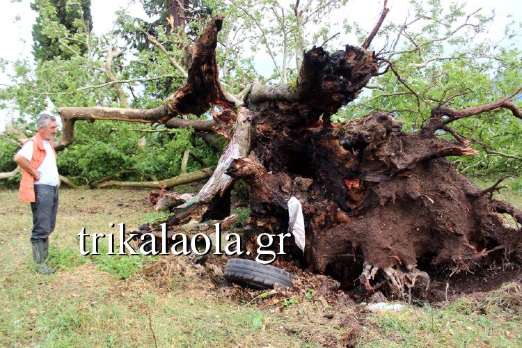 Ανεμοστρόβιλος σάρωσε τα Τρίκαλα -Ο αέρας και η σφοδρή χαλαζόπτωση ξερίζωσαν δένδρα [εικόνες & βίντεο] | iefimerida.gr 0