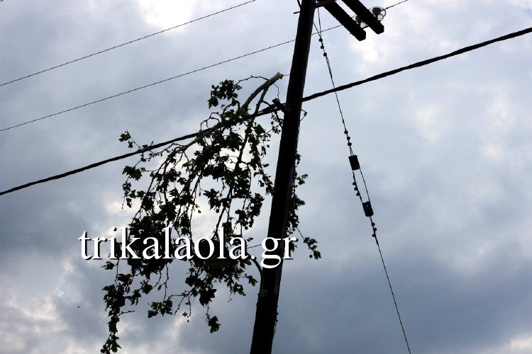 Ανεμοστρόβιλος σάρωσε τα Τρίκαλα -Ο αέρας και η σφοδρή χαλαζόπτωση ξερίζωσαν δένδρα [εικόνες & βίντεο] | iefimerida.gr 4