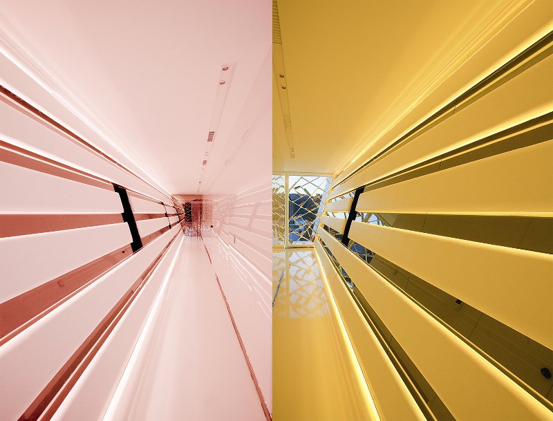 Αυτό το απίστευτο σπίτι βρίσκεται στην Αθήνα -Μοιάζει να αναδύεται από το νερό, σαν ιπτάμενο δελφίνι [εικόνες] | iefimerida.gr 10