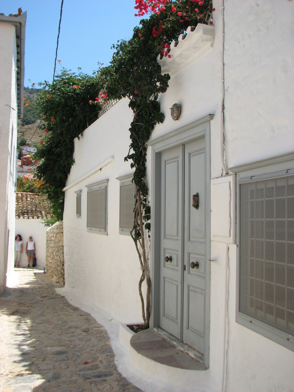 Η Υδρα του Λέοναρντ Κοέν -Το υπέροχο σπίτι που αγόρασε με την κληρονομιά της γιαγιάς του [εικόνες] | iefimerida.gr 2