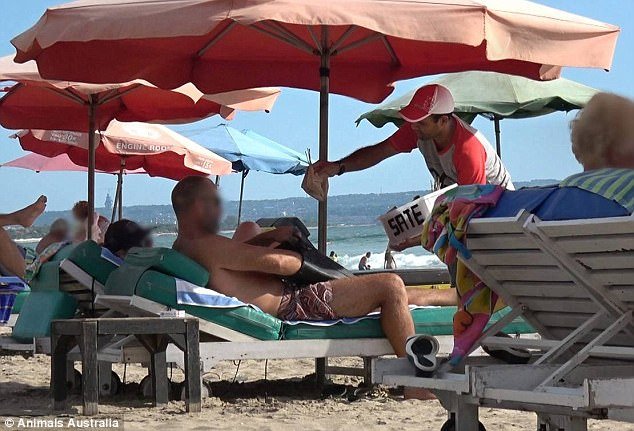 Η απόλυτη φρίκη στο Μπαλί -Σφαγιάζουν σκύλους και τους σερβίρουν σε τουρίστες εν αγνοία τους [εικόνες] | iefimerida.gr 4