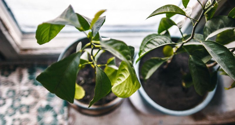 Σπίτι χωρίς air condition -Πώς να το διατηρήσετε δροσερό [εικόνες]  | iefimerida.gr 0