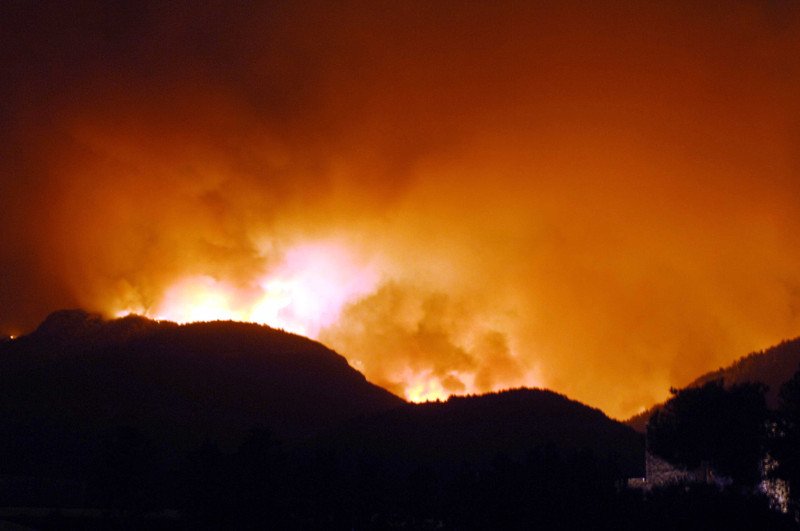 10 χρόνια μετά τον όλεθρο στην Πάρνηθα -Η καταστροφή από τη μεγαλύτερη και δριμύτερη πυρκαγιά στην Αττική [εικόνες] | iefimerida.gr 4