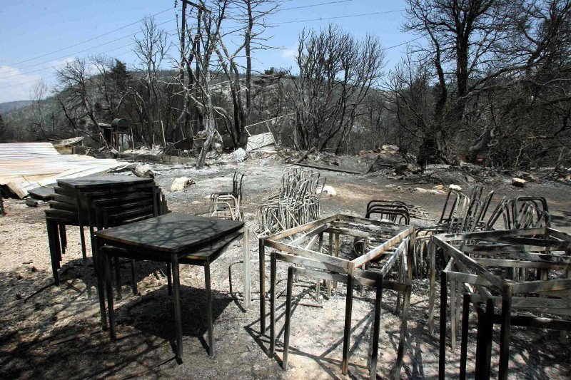 10 χρόνια μετά τον όλεθρο στην Πάρνηθα -Η καταστροφή από τη μεγαλύτερη και δριμύτερη πυρκαγιά στην Αττική [εικόνες] | iefimerida.gr 14