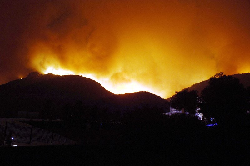 10 χρόνια μετά τον όλεθρο στην Πάρνηθα -Η καταστροφή από τη μεγαλύτερη και δριμύτερη πυρκαγιά στην Αττική [εικόνες] | iefimerida.gr 0