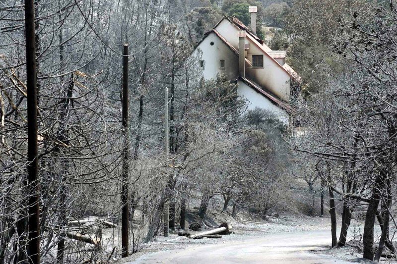 10 χρόνια μετά τον όλεθρο στην Πάρνηθα -Η καταστροφή από τη μεγαλύτερη και δριμύτερη πυρκαγιά στην Αττική [εικόνες] | iefimerida.gr 9
