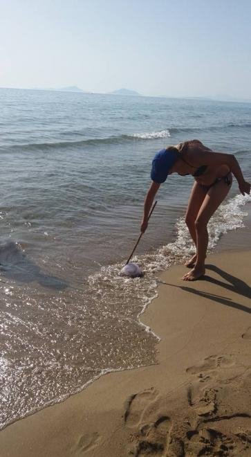 Εντείνεται το πρόβλημα με τις μέδουσες: Ολόκληρο κοπάδι εμφανίστηκε σε παραλία της Πάτρας [εικόνες] | iefimerida.gr 0