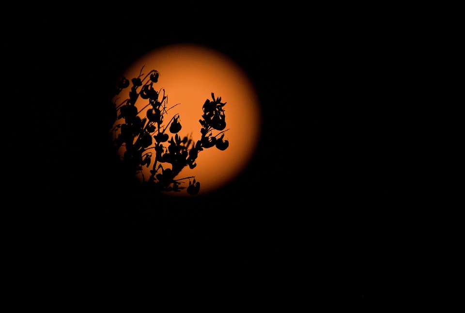 Πανσέληνος: Υπέροχο, ξελογιαστικό φεγγάρι πάνω από την Αθήνα [εικόνες] | iefimerida.gr 3