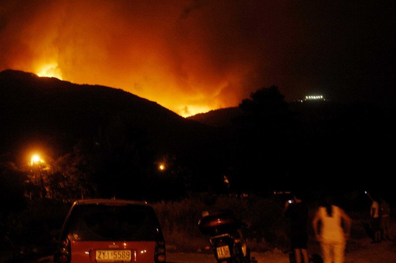 Πάρνηθα: 10 χρόνια μετά την καταστροφική πυρκαγιά -Το βουνό έχει και πάλι ζωή [εικόνες & βίντεο] | iefimerida.gr 0