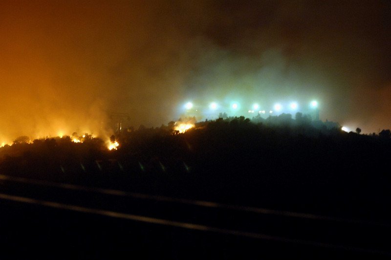 Πάρνηθα: 10 χρόνια μετά την καταστροφική πυρκαγιά -Το βουνό έχει και πάλι ζωή [εικόνες & βίντεο] | iefimerida.gr 1