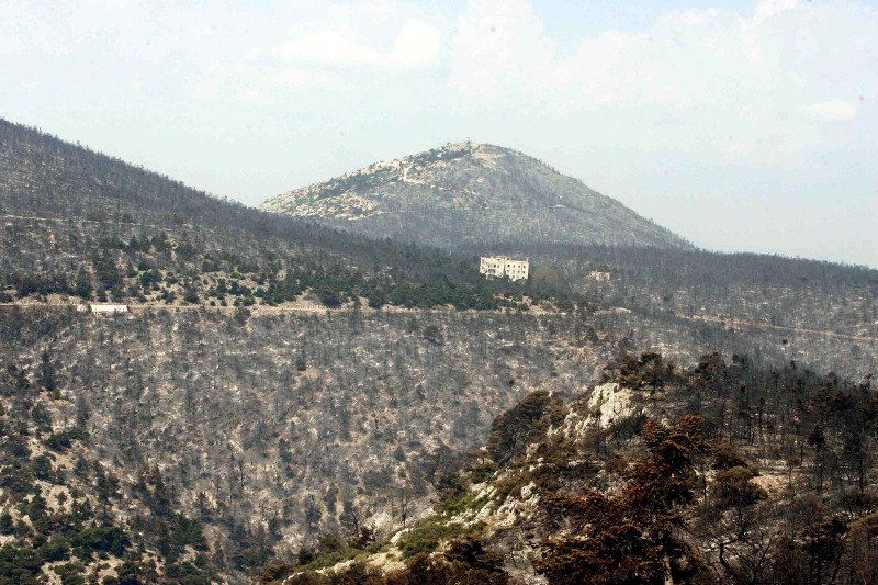 Πάρνηθα: 10 χρόνια μετά την καταστροφική πυρκαγιά -Το βουνό έχει και πάλι ζωή [εικόνες & βίντεο] | iefimerida.gr 3