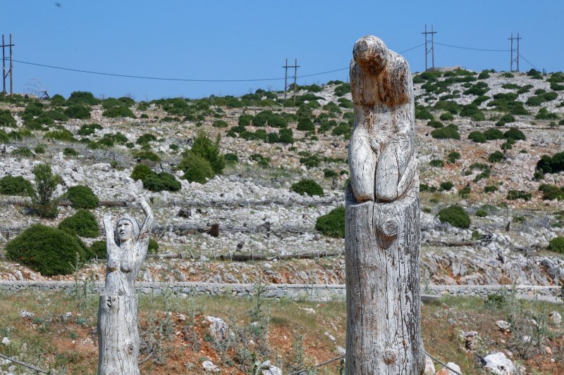10 χρόνια μετά τον όλεθρο στην Πάρνηθα -Η καταστροφή από τη μεγαλύτερη και δριμύτερη πυρκαγιά στην Αττική [εικόνες] | iefimerida.gr 32
