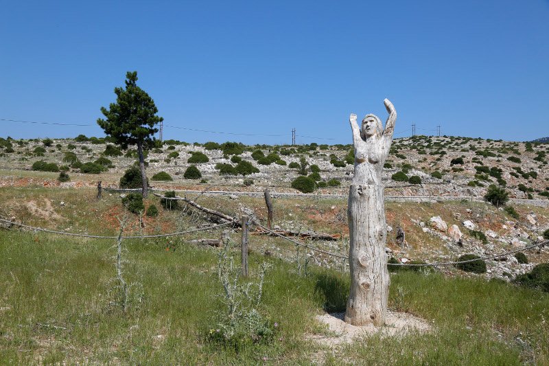 10 χρόνια μετά τον όλεθρο στην Πάρνηθα -Η καταστροφή από τη μεγαλύτερη και δριμύτερη πυρκαγιά στην Αττική [εικόνες] | iefimerida.gr 33