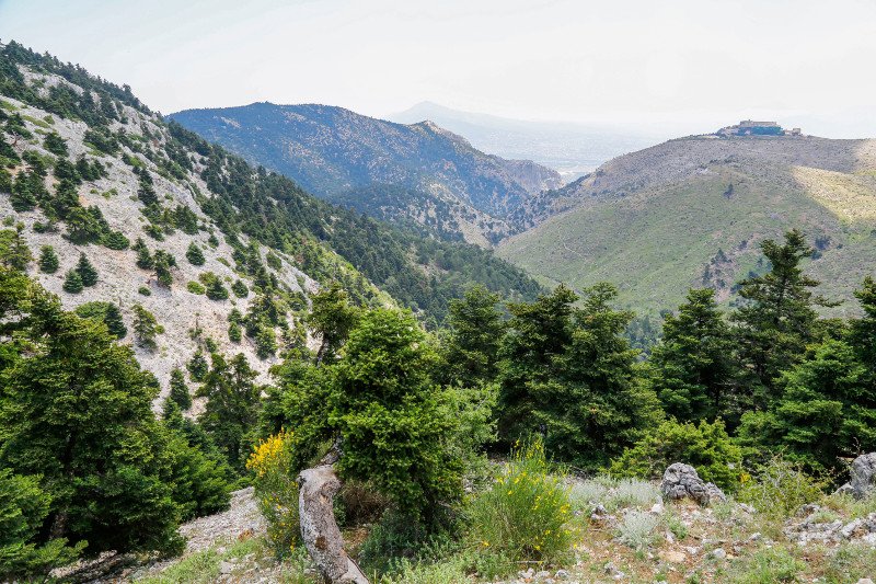 10 χρόνια μετά τον όλεθρο στην Πάρνηθα -Η καταστροφή από τη μεγαλύτερη και δριμύτερη πυρκαγιά στην Αττική [εικόνες] | iefimerida.gr 17