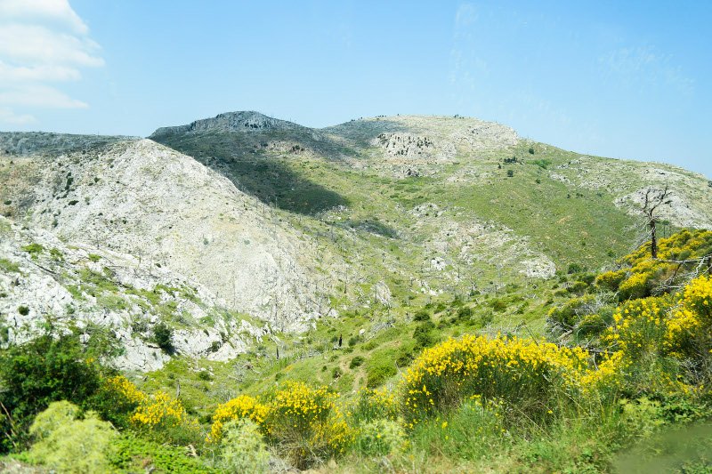 10 χρόνια μετά τον όλεθρο στην Πάρνηθα -Η καταστροφή από τη μεγαλύτερη και δριμύτερη πυρκαγιά στην Αττική [εικόνες] | iefimerida.gr 22