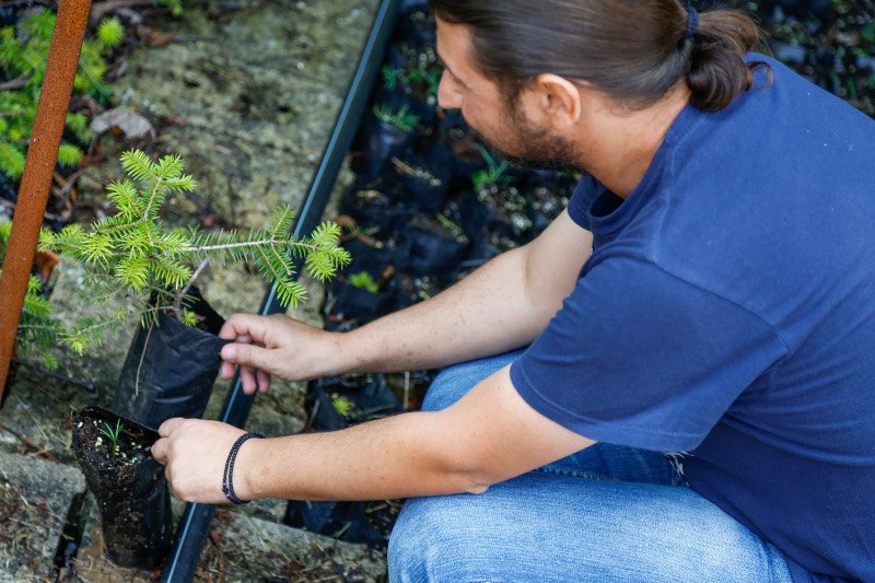 10 χρόνια μετά τον όλεθρο στην Πάρνηθα -Η καταστροφή από τη μεγαλύτερη και δριμύτερη πυρκαγιά στην Αττική [εικόνες] | iefimerida.gr 25