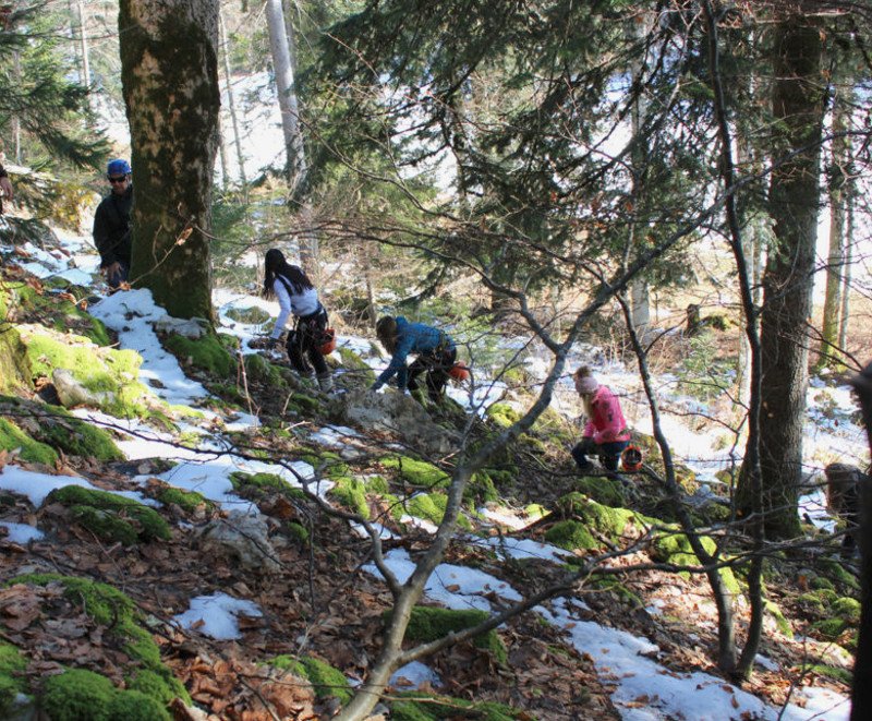 Το ακριβότερο σχολείο στον κόσμο -100.000 ευρώ δίδακτρα το χρόνο -Το ιδιαίτερο πρόγραμμά του [εικόνες] | iefimerida.gr 16