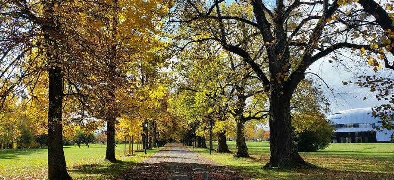 Το ακριβότερο σχολείο στον κόσμο -100.000 ευρώ δίδακτρα το χρόνο -Το ιδιαίτερο πρόγραμμά του [εικόνες] | iefimerida.gr 4