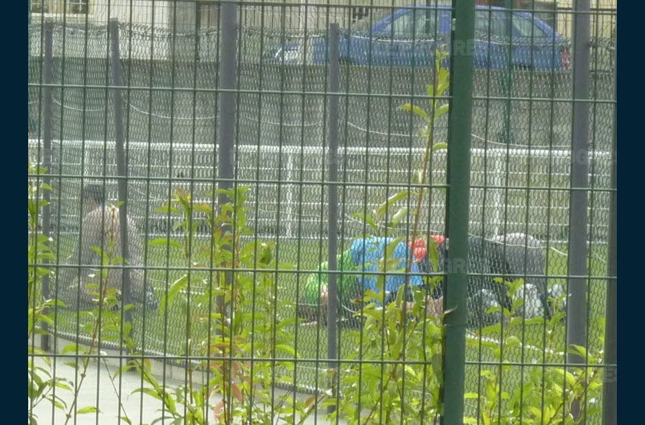 Γαλλία: Οι τζιχαντιστές διεισδύουν και στις αθλητικές ομάδες -Τα πρώτα μέτρα | iefimerida.gr 3