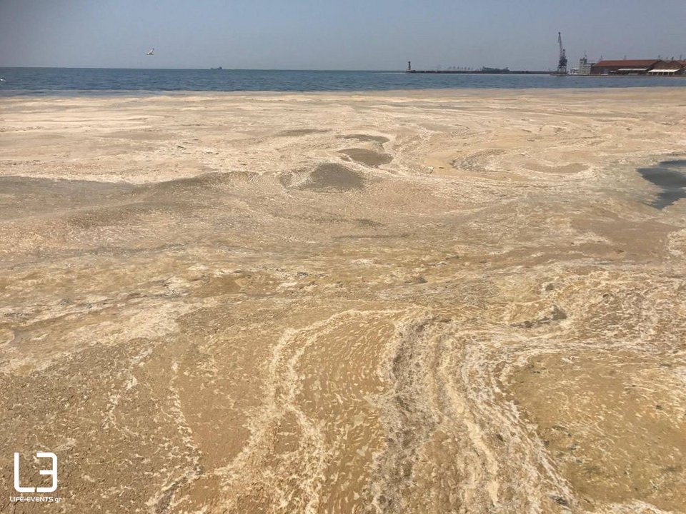 Γέμισε ξανά ο Θερμαϊκός με φυτοπλαγκτόν και μέδουσες -Τι λένε οι ειδικοί [εικόνες & βίντεο] | iefimerida.gr 2