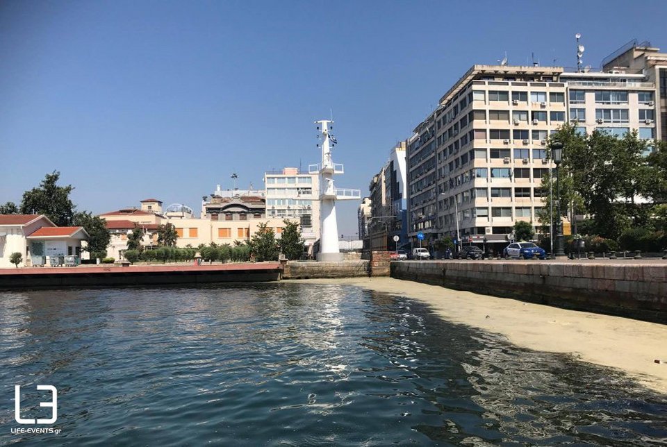 Γέμισε ξανά ο Θερμαϊκός με φυτοπλαγκτόν και μέδουσες -Τι λένε οι ειδικοί [εικόνες & βίντεο] | iefimerida.gr 1