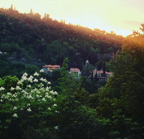 Oδοιπορικό στη Μονή Αγάθωνος: Ενας «παράδεισος» με παγόνια, φασιανούς και ελάφια [εικόνες] | iefimerida.gr 2