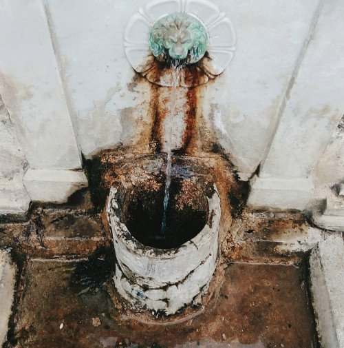 Oδοιπορικό στη Μονή Αγάθωνος: Ενας «παράδεισος» με παγόνια, φασιανούς και ελάφια [εικόνες] | iefimerida.gr 4