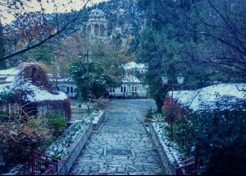 Oδοιπορικό στη Μονή Αγάθωνος: Ενας «παράδεισος» με παγόνια, φασιανούς και ελάφια [εικόνες] | iefimerida.gr 6