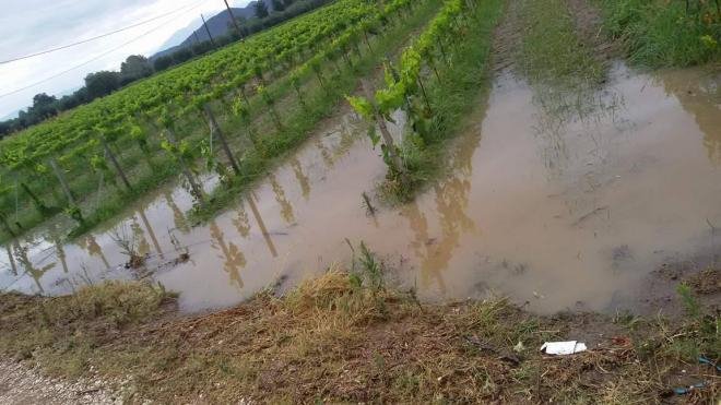 Σάρωσε η Μέδουσα: Ενας νεκρός, πλημμύρισαν σπίτια, βυθίστηκαν ΙΧ [εικόνες & βίντεο] | iefimerida.gr 5