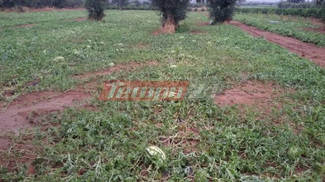 Σάρωσε η Μέδουσα: Ενας νεκρός, πλημμύρισαν σπίτια, βυθίστηκαν ΙΧ [εικόνες & βίντεο] | iefimerida.gr 7