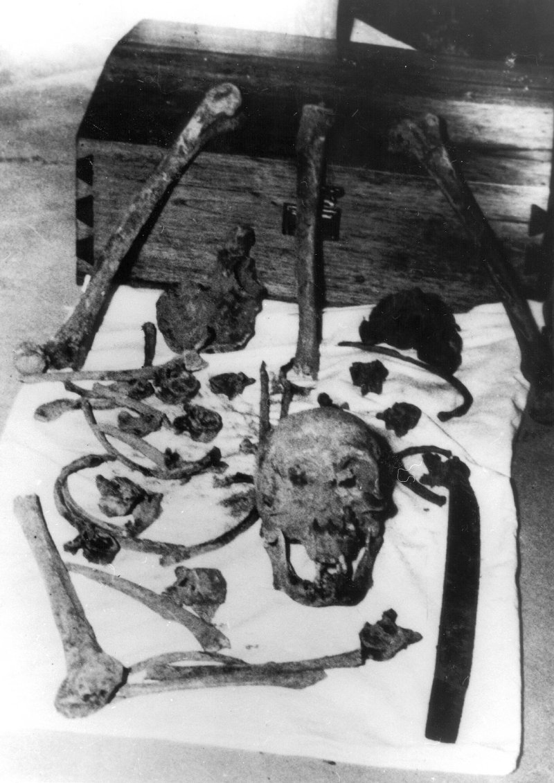 Η απίστευτη ιστορία εξαφάνισης εξερευνητή στον Αμαζόνιο -Εγιναν 13 αποστολές, χάθηκαν 100 διασώστες και δεν βρέθηκε ποτέ [εικόνες] | iefimerida.gr 10