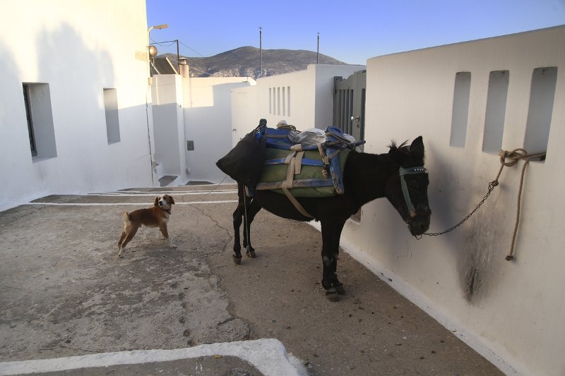 Διακοπές στην Αμοργό -Το νησί με το απέραντο γαλάζιο και την ακατέργαστη ομορφιά που γοητεύει [εικόνες] | iefimerida.gr 7